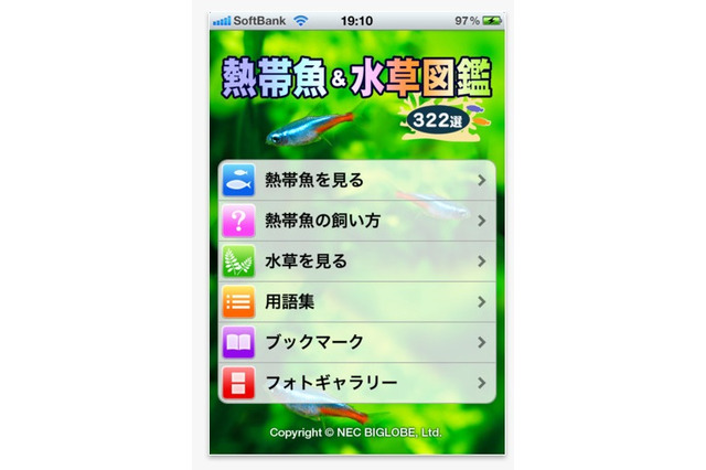 品種や飼育法を詳しく解説、スマホ用アプリ「熱帯魚＆水草図鑑322選」 画像