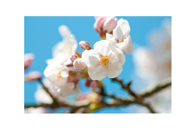 【学参選び】先輩＜高校生＞に選ばれた英数ドリル・参考書 画像