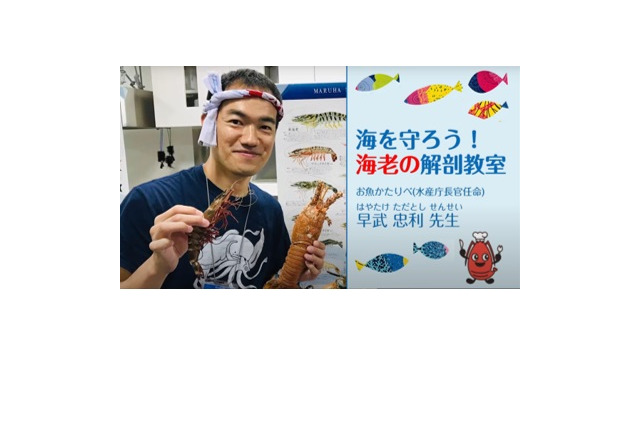 【夏休み2020】動画を見ながらエビの解剖にチャレンジ、おさかな解剖キット 画像