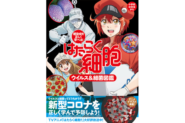 はたらく細胞で感染症を学ぶ「ウイルス＆細菌図鑑」発売 画像