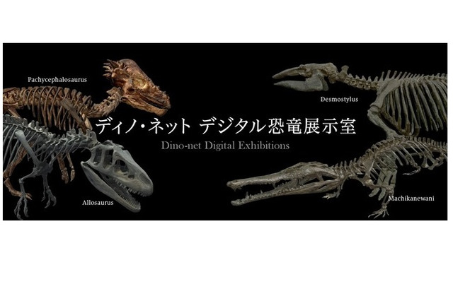 恐竜骨格をVRで見学「ディノ・ネット デジタル恐竜展示室」 画像