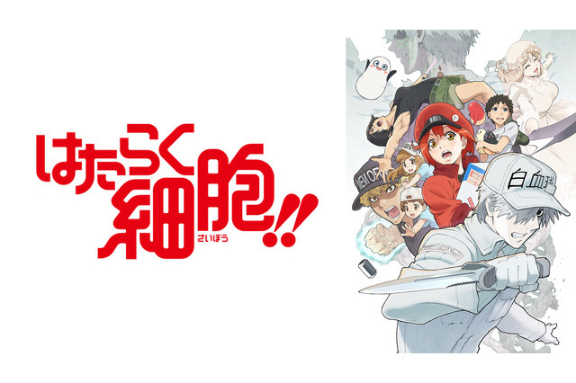 「はたらく細胞!!」など新作アニメ5作品、ABEMA無料配信 画像