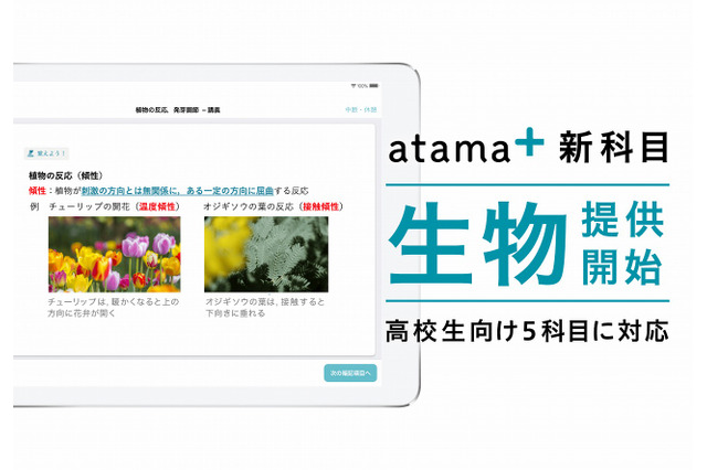 AI学習システムatama＋、高校生向け「生物」の提供開始 画像