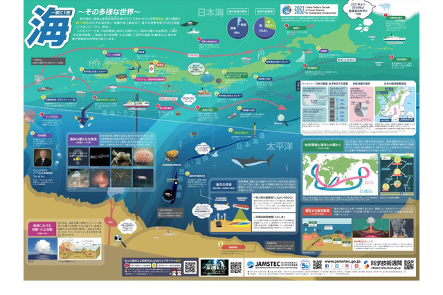 文科省、一家に1枚「海～その多様な世界～」ポスター公開 画像