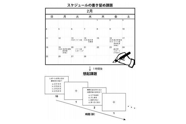 使用するメディアで記憶力や脳活動に差…東大・NTTデータ経営研ら 画像