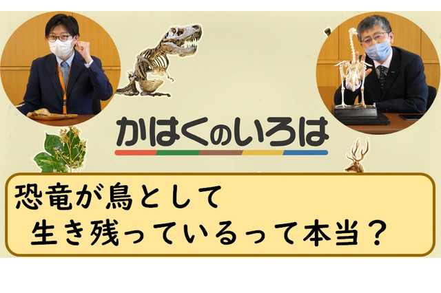 かはく職員がEduTuberに…博物館を紹介する新シリーズ公開 画像