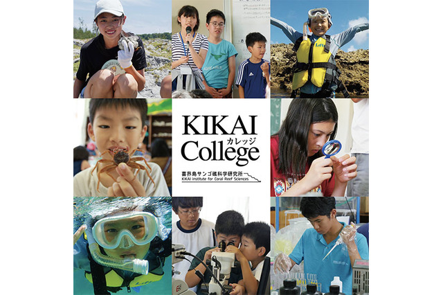 KIKAI collegeジュニアドクター制度、受講生募集 画像