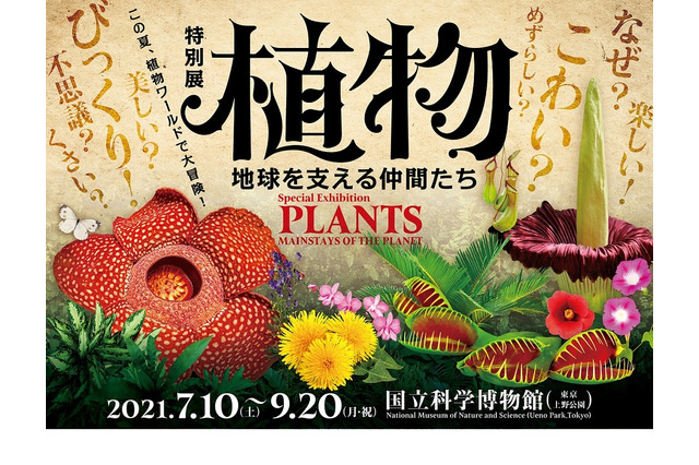 植物の実像や魅力に迫る特別展、国立科学博物館7/10開幕 画像