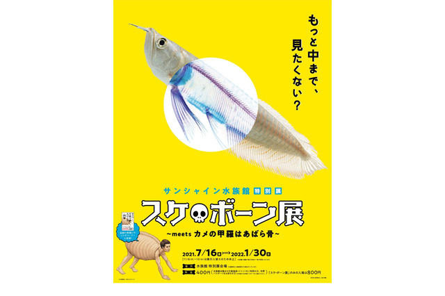 サンシャイン水族館の特別展「スケ・ボーン展」関連イベントも 画像