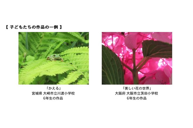 キヤノン、子どもの感性あふれる「ジュニアフォトグラファーズ」全国6か所で開催 画像