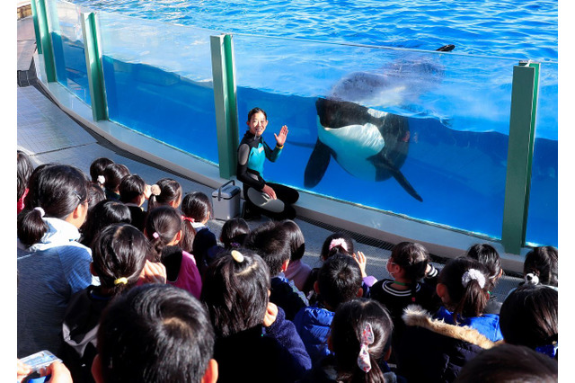 【冬休み2021】鴨川シーワールドで小学生対象「ウインタースクール」8日間 画像