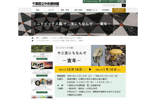 千葉県立中央博物館、十二支にちなんで「寅年」開催 画像