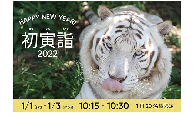 アドベンチャーワールド「初寅詣2022」正月三が日 画像