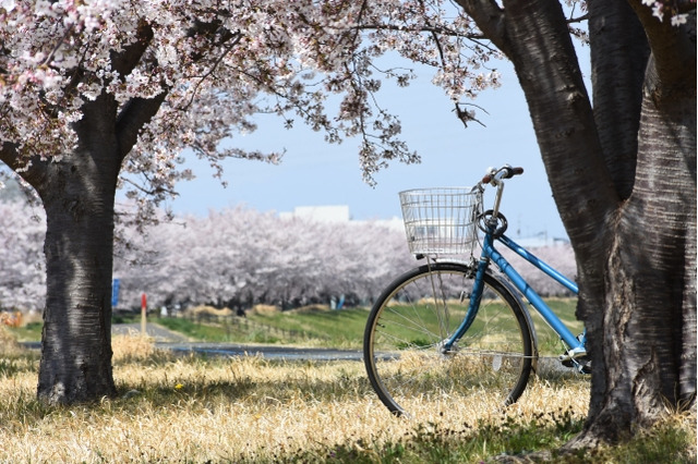 新生活を安心して迎えるために…「学生あんしんパスポート」特別支援学級プランも登場 画像