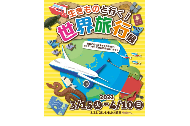 ねったいかん「生きものと行く！世界旅行展」4/10まで 画像