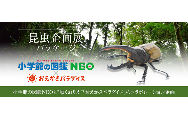 図鑑NEOとおえかきパラダイスのコラボ「昆虫企画展パッケージ」提供開始 画像