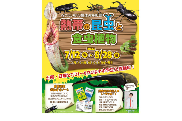 【夏休み2022】ねったいかん「熱帯の昆虫と食虫植物」展 画像