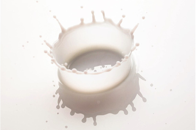 スマホと牛乳でできる【自由研究】目に見えない「ミルククラウン」の姿を瞬間激写 画像