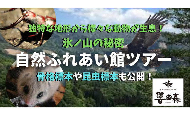 博物館オンラインツアー「響の森」10/30…こどハピ 画像