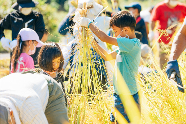 自然で学ぶ「東武沿線子ども体験プログラム」小学生対象 画像