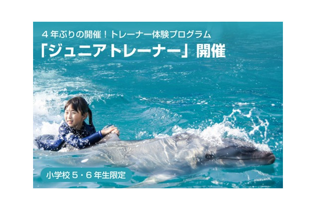 イルカと泳ぐトレーナー体験、小5-6対象…鴨川シーワールド 画像