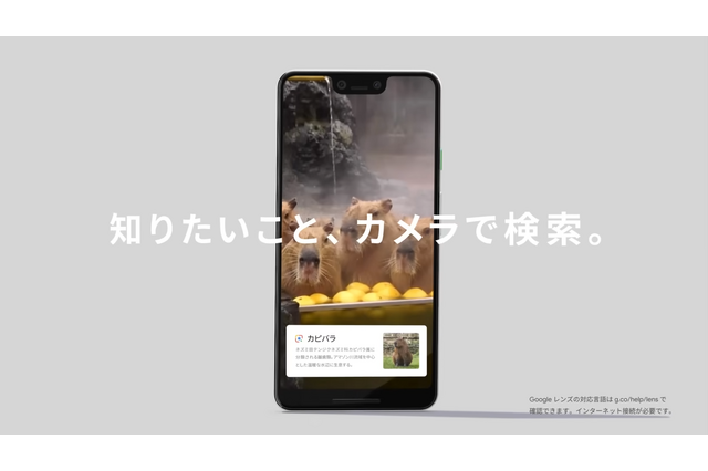 Googleレンズ、肌の状態を「検索」可能に…表現が難しい症状も 画像
