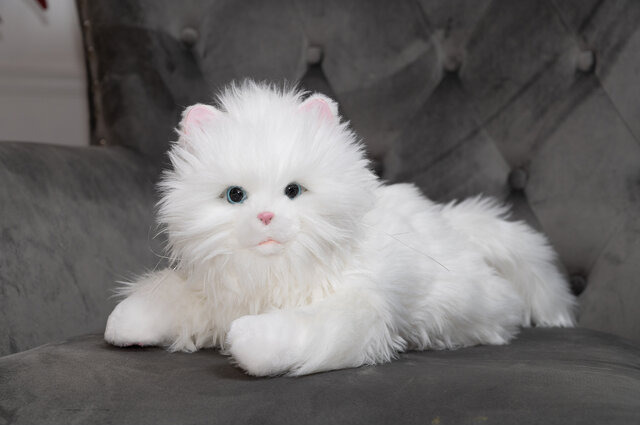 猫型ペットロボット「しっぽふりふり あまえんぼう 子ねこちゃん」発売 画像