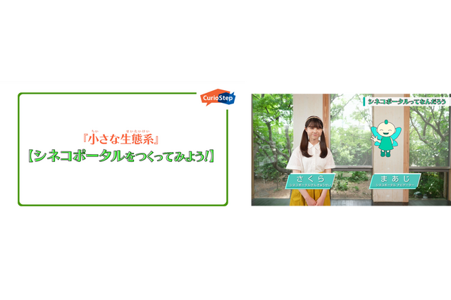 ソニー「シネコポータルをつくってみよう!」 動画公開 画像