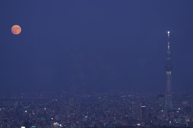 中秋の名月、サンシャイン60展望台で天体観賞会9/29 画像