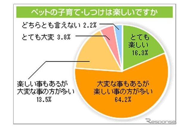 8割がペットの子育・しつけ「楽しい」、相談は動物病院やネット 画像