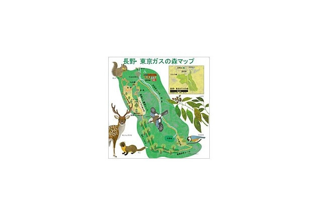 東京ガスが秋の体験型環境スクールを開催、森の生きものを大調査10/20 画像