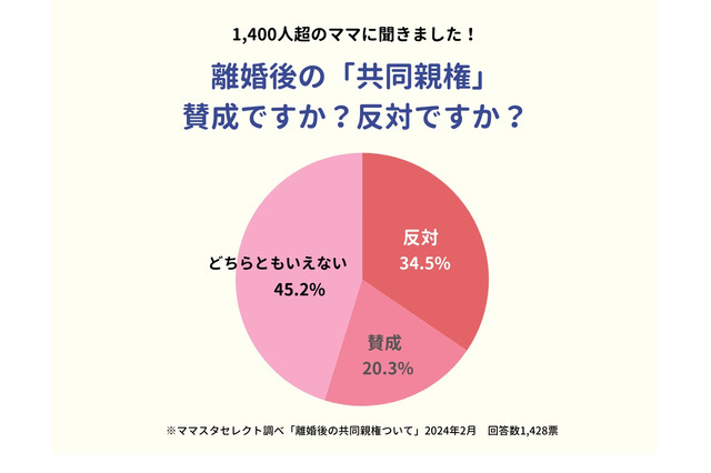 離婚後の共同親権、母親「賛成」2割にとどまる 画像