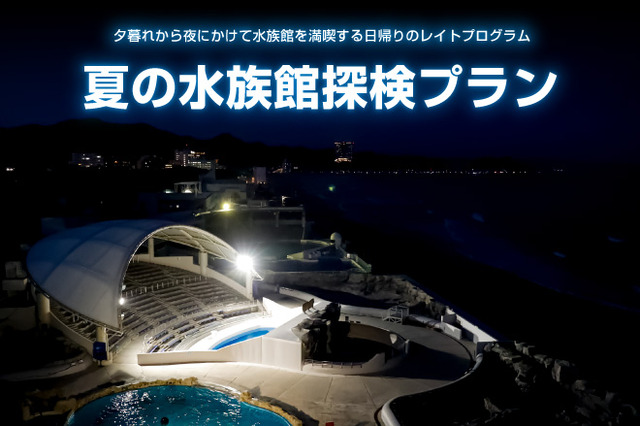 【夏休み2024】鴨川シーワールド「夏の水族館探検プラン」 画像