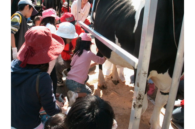 親子で乳牛牧場体験、新鮮な牛乳を使った料理作りなども…10/28福岡  画像