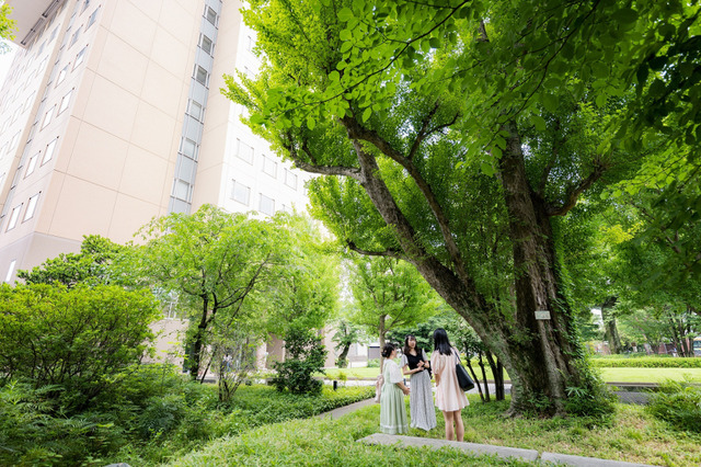 【大学受験2025】日本女子大、地方入学者対象「桜楓樹給付奨学金」開始 画像