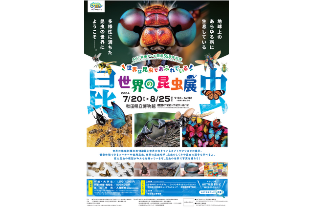 【夏休み2024】秋田県立博物館「世界の昆虫展」8/25まで 画像