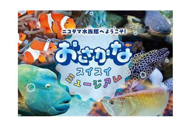 【夏休み2024】玉川高島屋S・C「ニコタマ水族館」8/16-9/1 画像