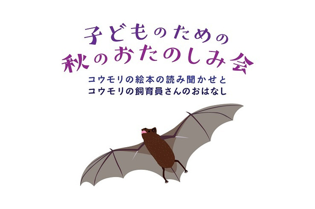 コウモリの絵本読み聞かせ&飼育員の話…国際子ども図書館11/17 画像
