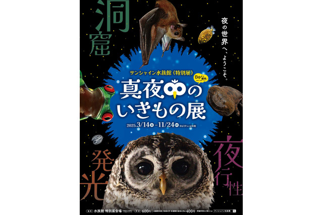 サンシャイン水族館、真夜中の生き物展 画像