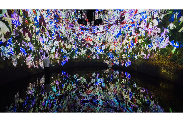 【GW2025】チームラボ新作展示、札幌にオープンする美術館で5/2より 画像