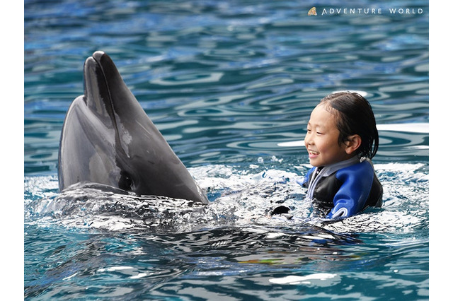 【夏休み2025】アドベンチャーワールドでイルカと泳ぐ体験…8/31まで 画像