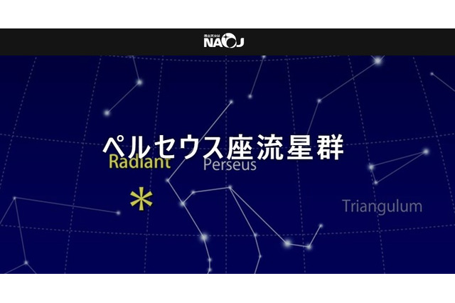 ペルセウス座流星群、8/11から3夜がチャンス 画像