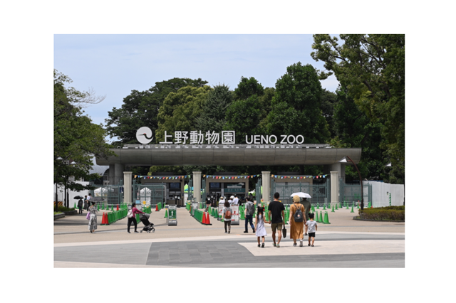 動物園・美術館など22施設が無料「都民の日」10/1 画像