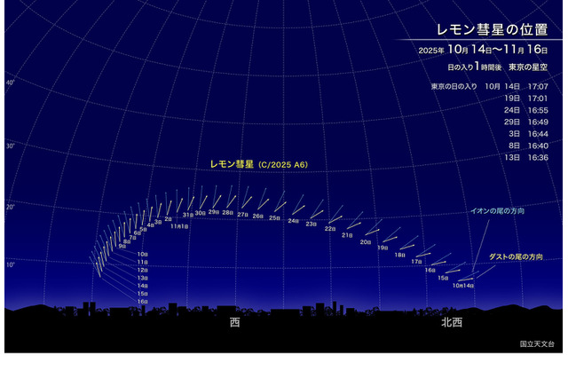 新発見のレモン彗星、10月下旬が観察好期…次回接近は1100年後 画像