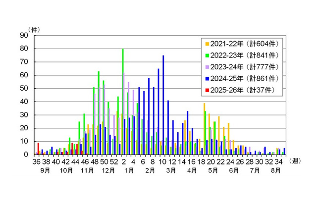 感染性胃腸炎、東京都が注意喚起…予防ポイントも 画像