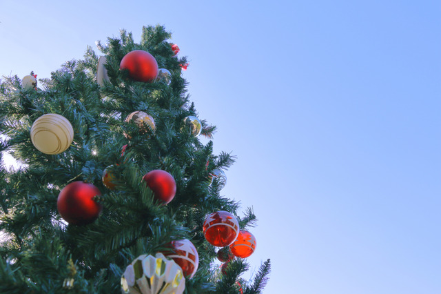 【中学受験】今週末行ける首都圏中高一貫「学校見学」12/13-14…吉祥女子、広尾学園など10校 画像