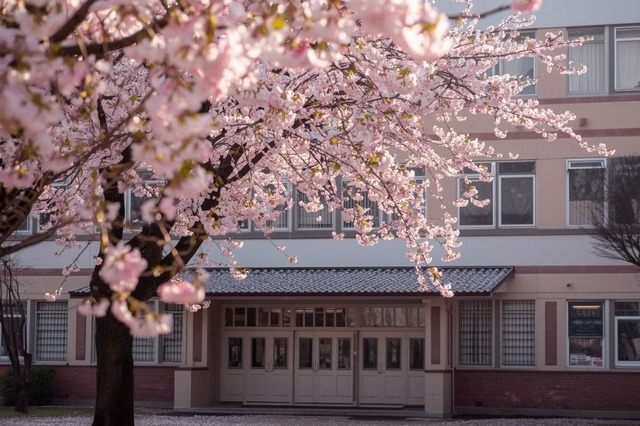 【中学受験2026】今年の人気校は？ねらい目校は？…過去問の売れ行き前年比較で探る注目校＜共学校編・後編＞ 画像