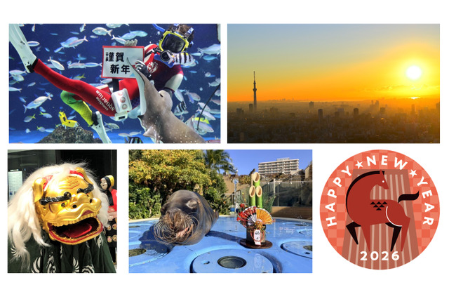 【年末年始】元旦は初日の出、獅子舞も登場…サンシャインシティのお正月 画像