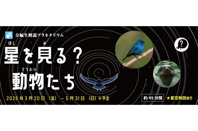 多摩六都科学館、プラネタリウム「星を見る？動物たち」5/31まで 画像