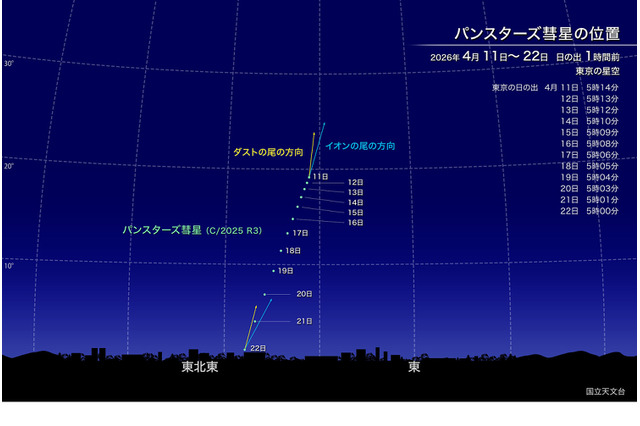 新彗星「パンスターズ彗星」4月中旬見ごろ…肉眼でも観察チャンス 画像